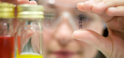 Analyst looking at air test slide